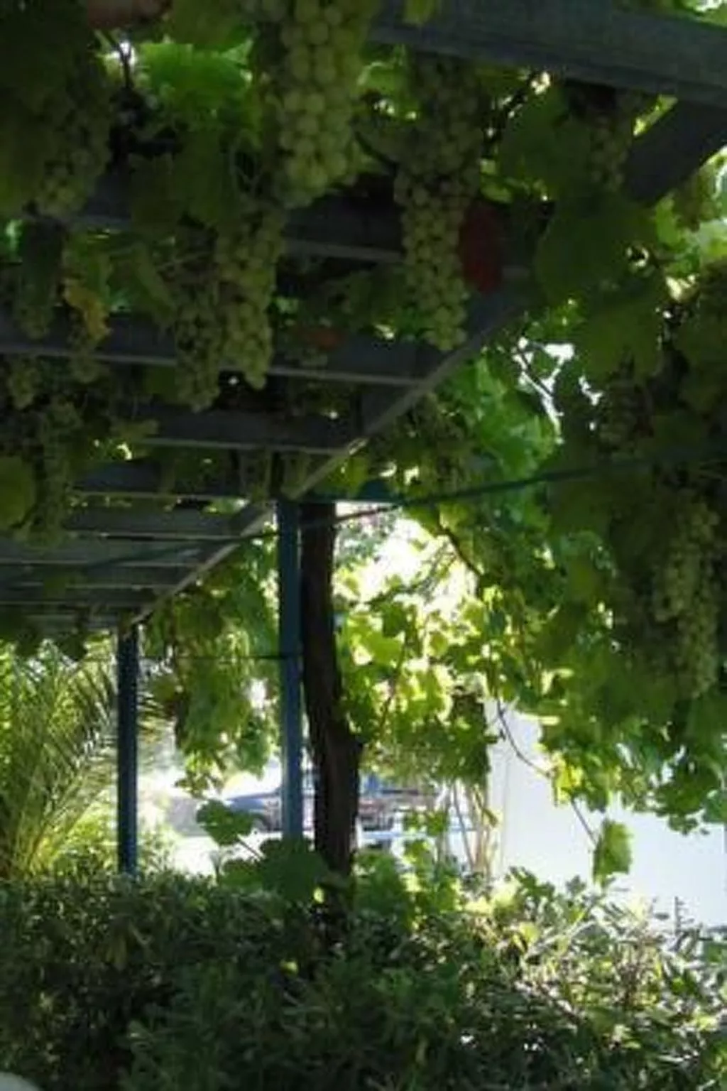 Castle View Haraki, ground floor ap4-Buiten