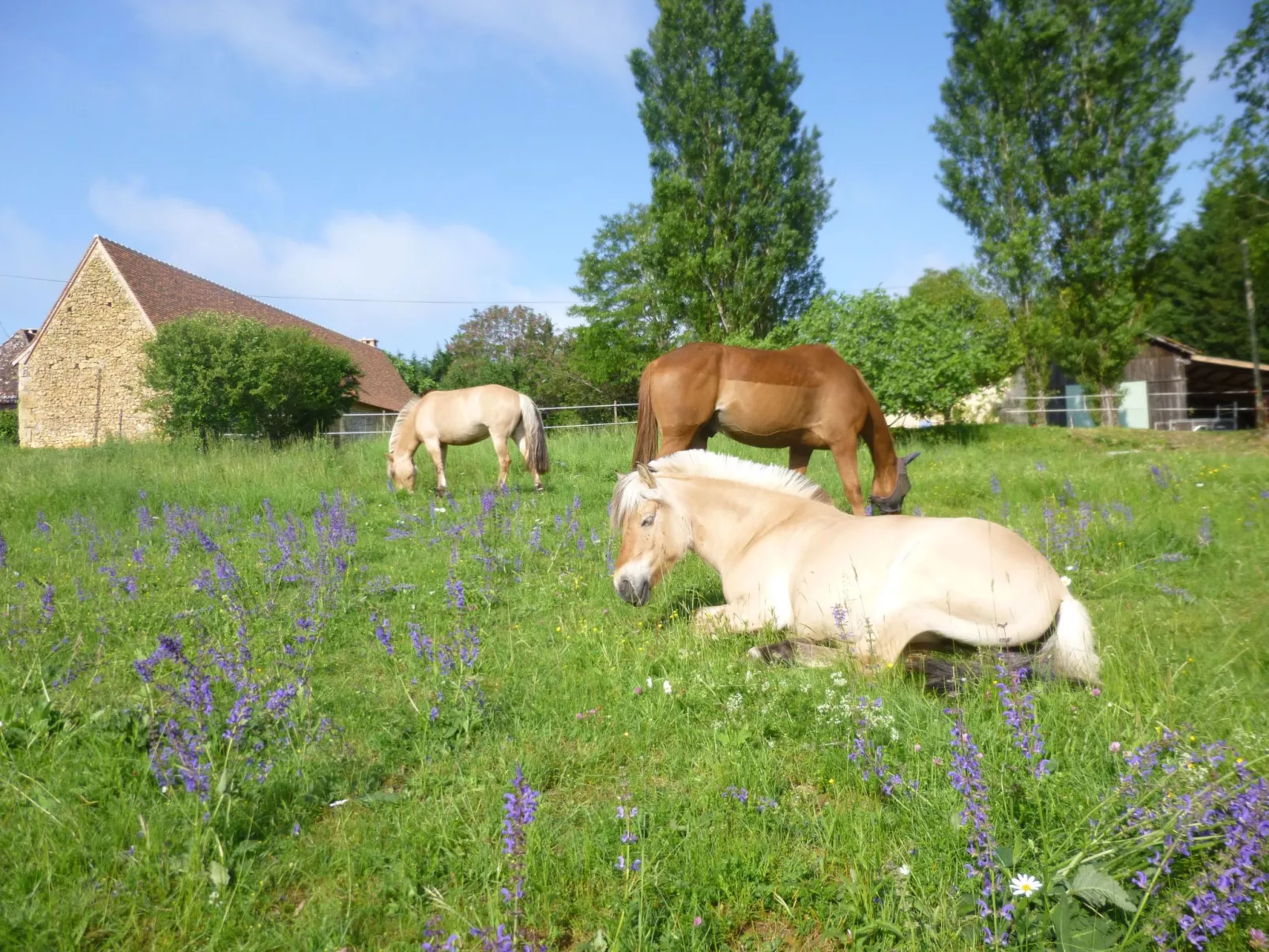 Komfort, Ruhe, privater Pool, EV-Ladestation-Buiten