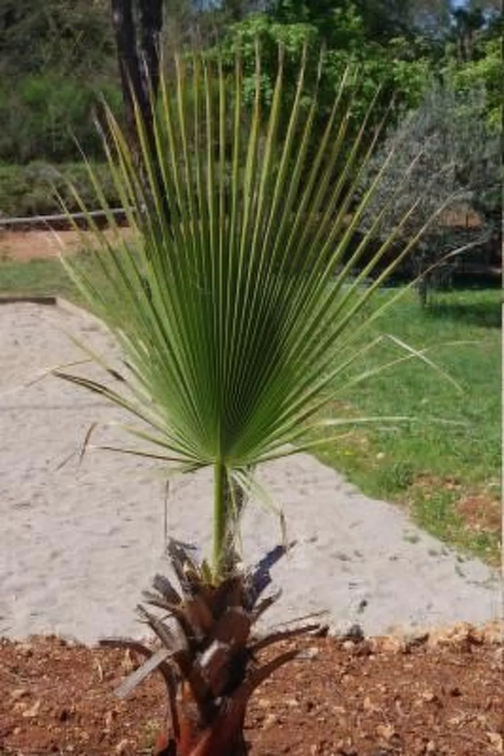 "Cigale" mit Pool-Buiten