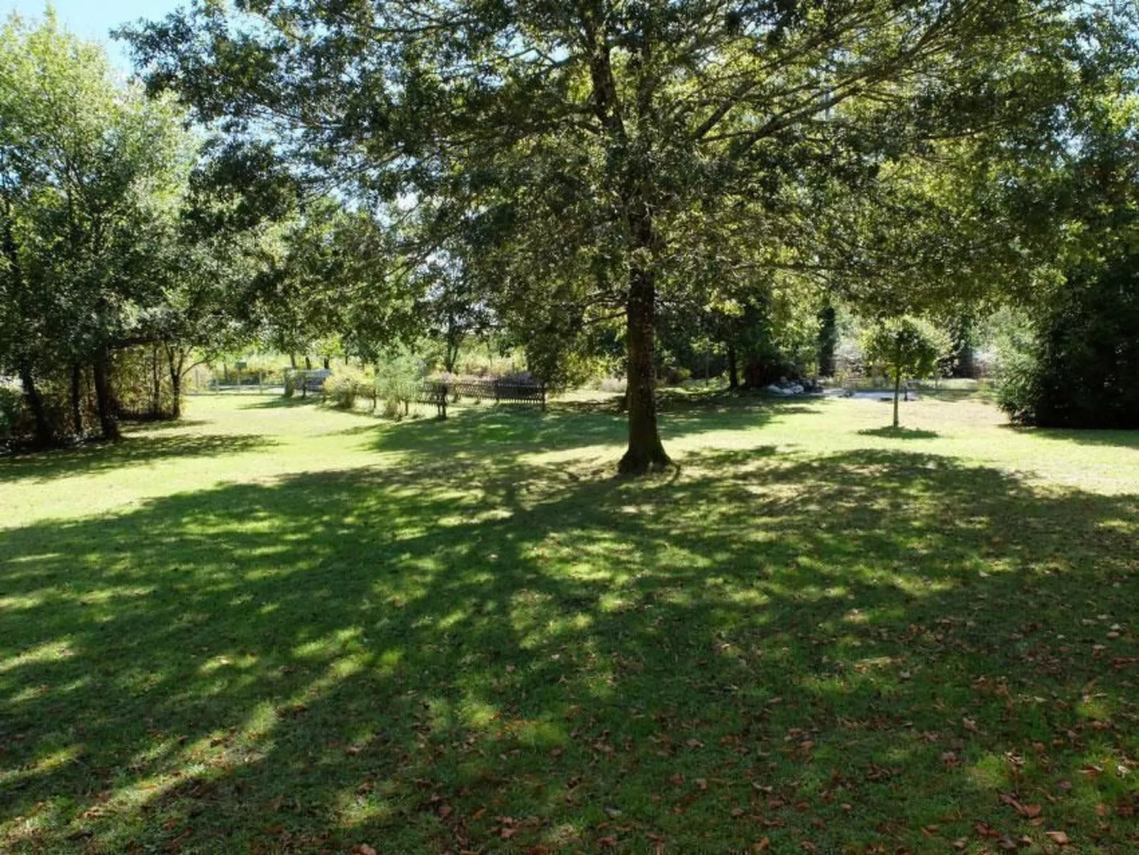 Gemütliches Ferienhäuschen im Grünen mit Terrasse-Buiten