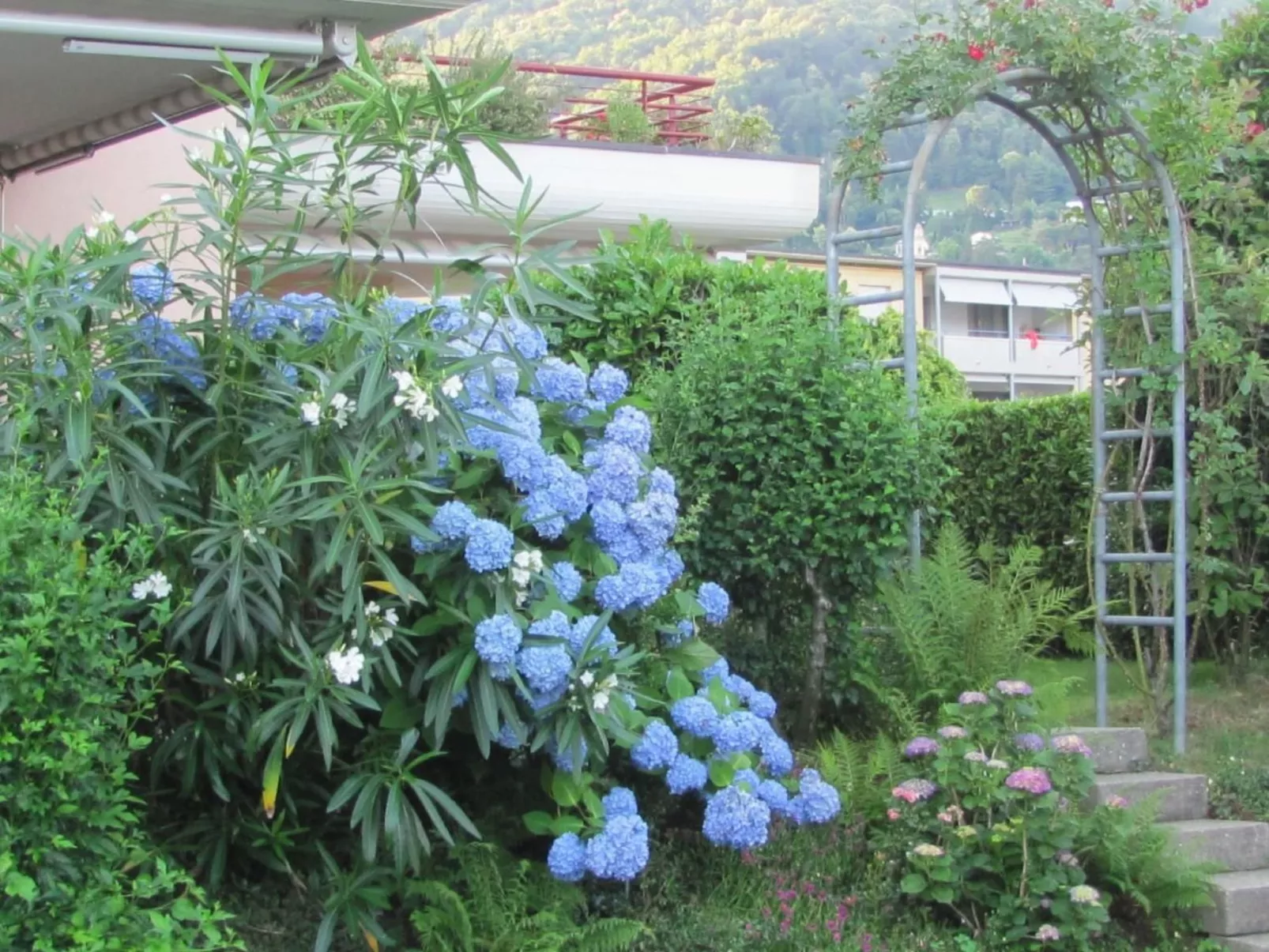 2 Zimmer Gartenwohnung mit Pool-Image-tags.info