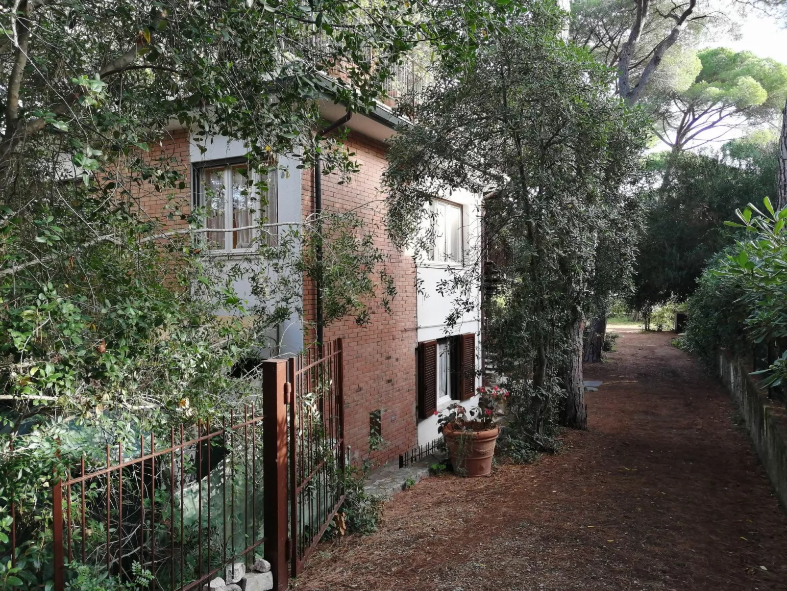 'Camelia' mit Terrasse-Buiten