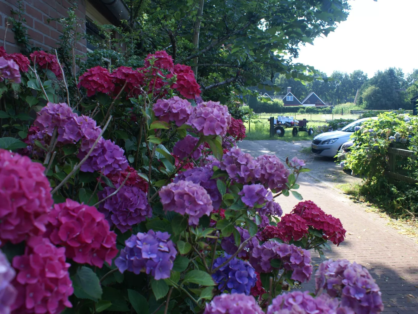Geschmackvoll eingerichtetes Bauernhaus aus dem 19.-Buiten