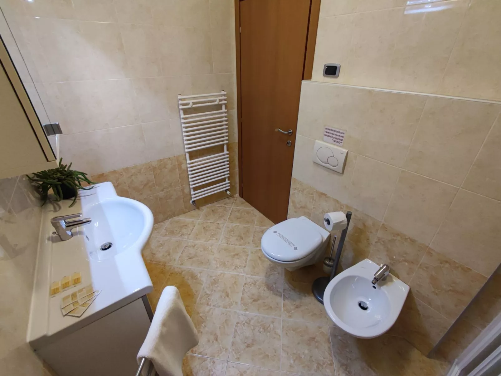 Komfort-Apartment mit Balkon BV1-Binnen