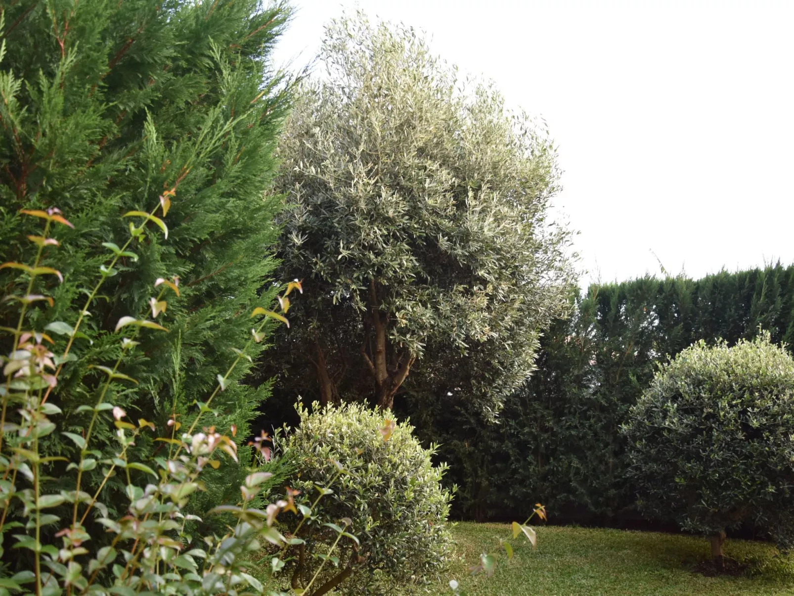 In Estreito Da Calheta mit Privatem Pool und Meerblick-Image-tags.info