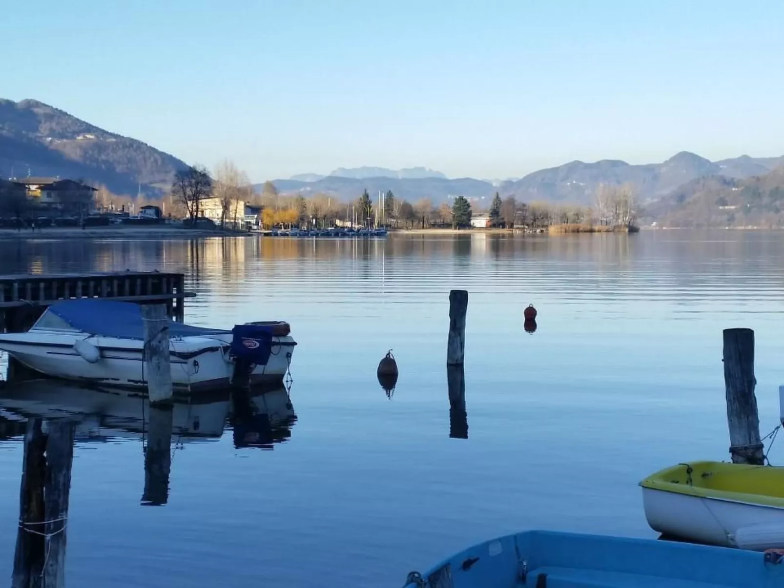 'Irma'-Image-tags.info