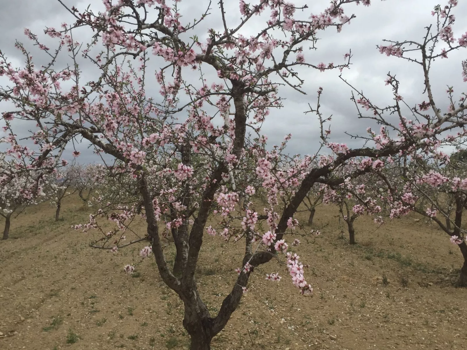 Casa Montana in Küstennähe... sehr empfehlenswert.-Binnen