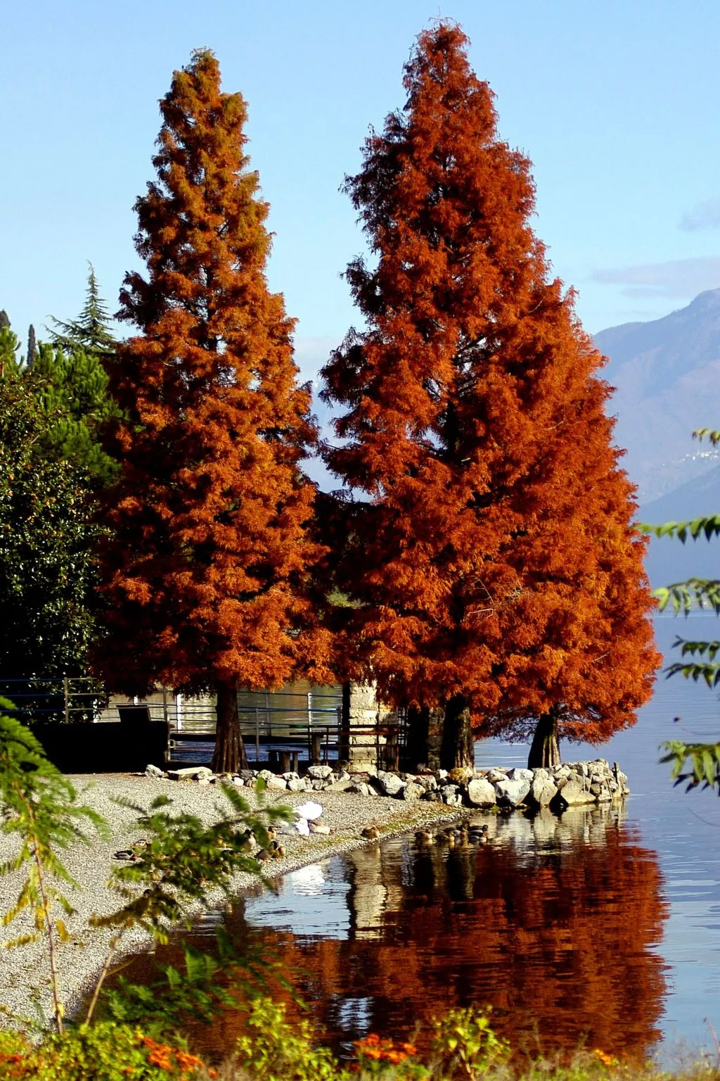 Open Space Penthouse im Schloss mit Seeblick-Buiten