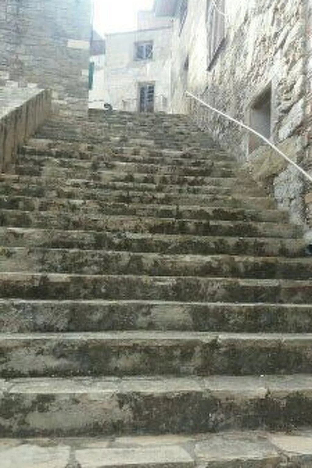 Wohnung "Stockwerk 1" mit Balkon-Image-tags.info