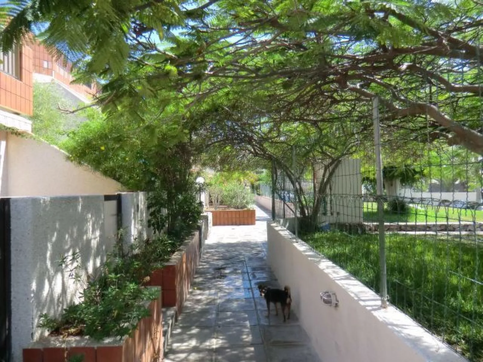 Ruhige Ferienwohnung mit Pool und Meerblick-Buiten