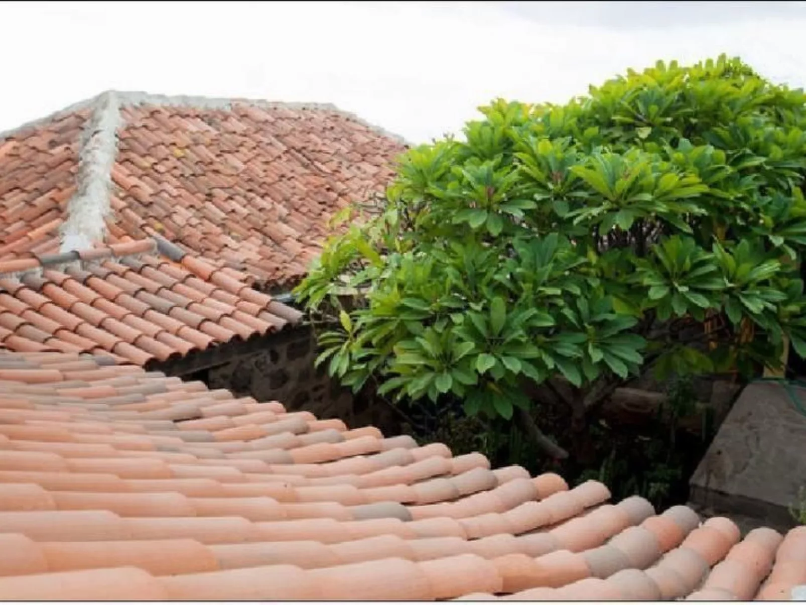 Haus mit Schwimmbad-Whirlpool in ruhiger Umgebung.-Buiten