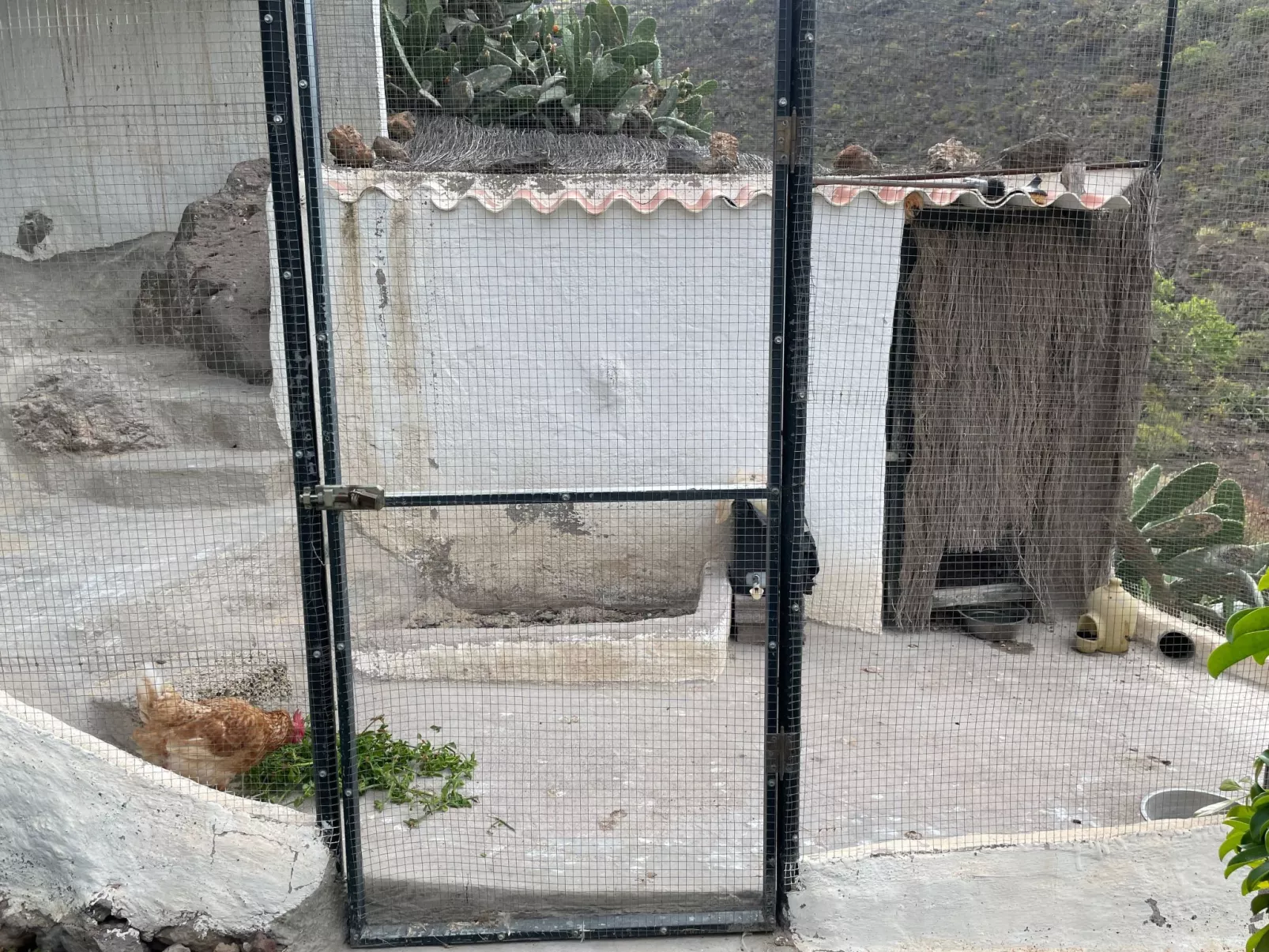 La Paloma mit gemeinschaftlichem Wellnessbereich-Buiten