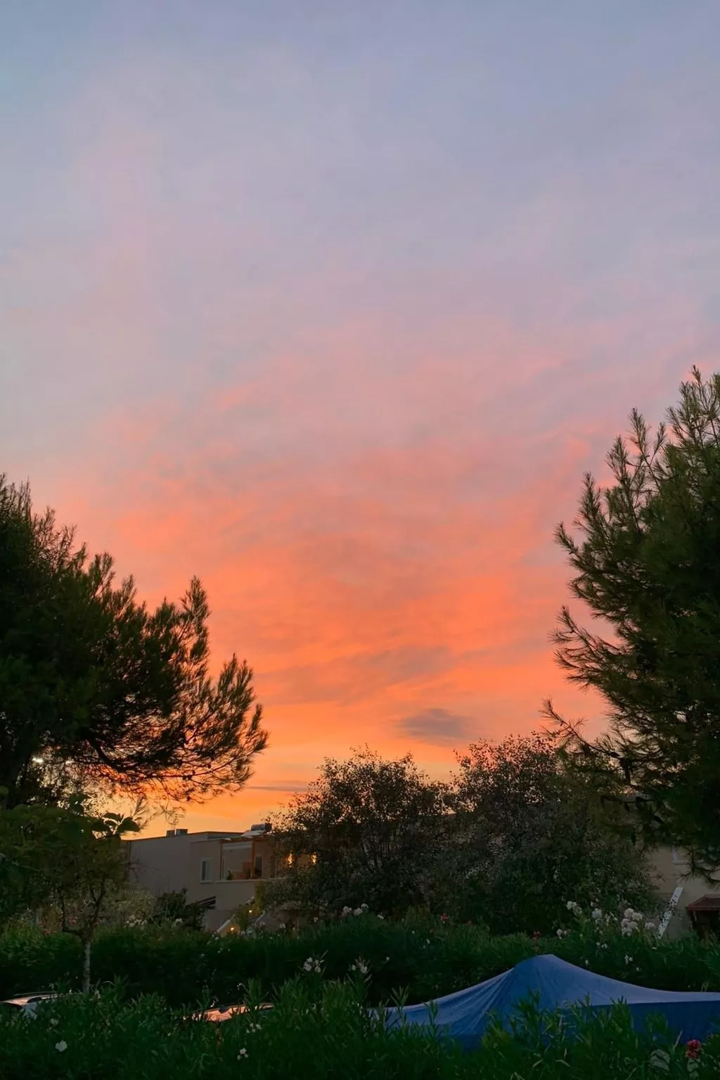 Wohnung in Campomarino mit privatem Parkplatz-Buiten