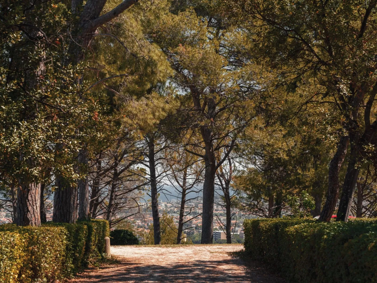 Mit Garten und Schwimmbad in den Hügeln der Marken.-Buiten
