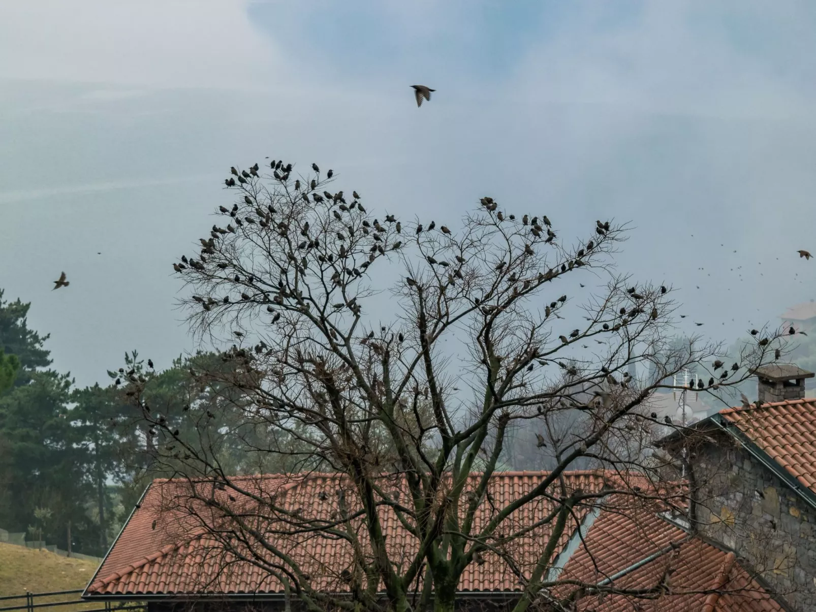 Wohnung in Riva Di Solto mit Kleinem Garten-Buiten
