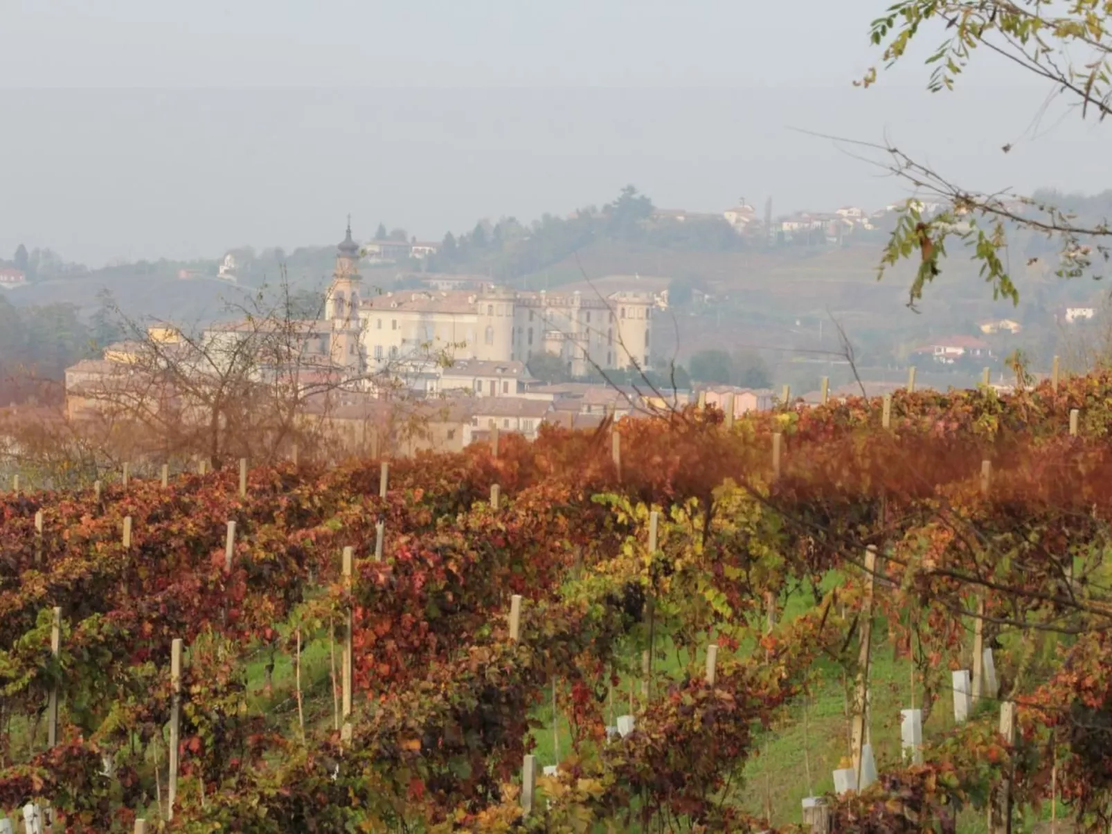 'Dolcetto' mit Schwimmbad-Image-tags.info