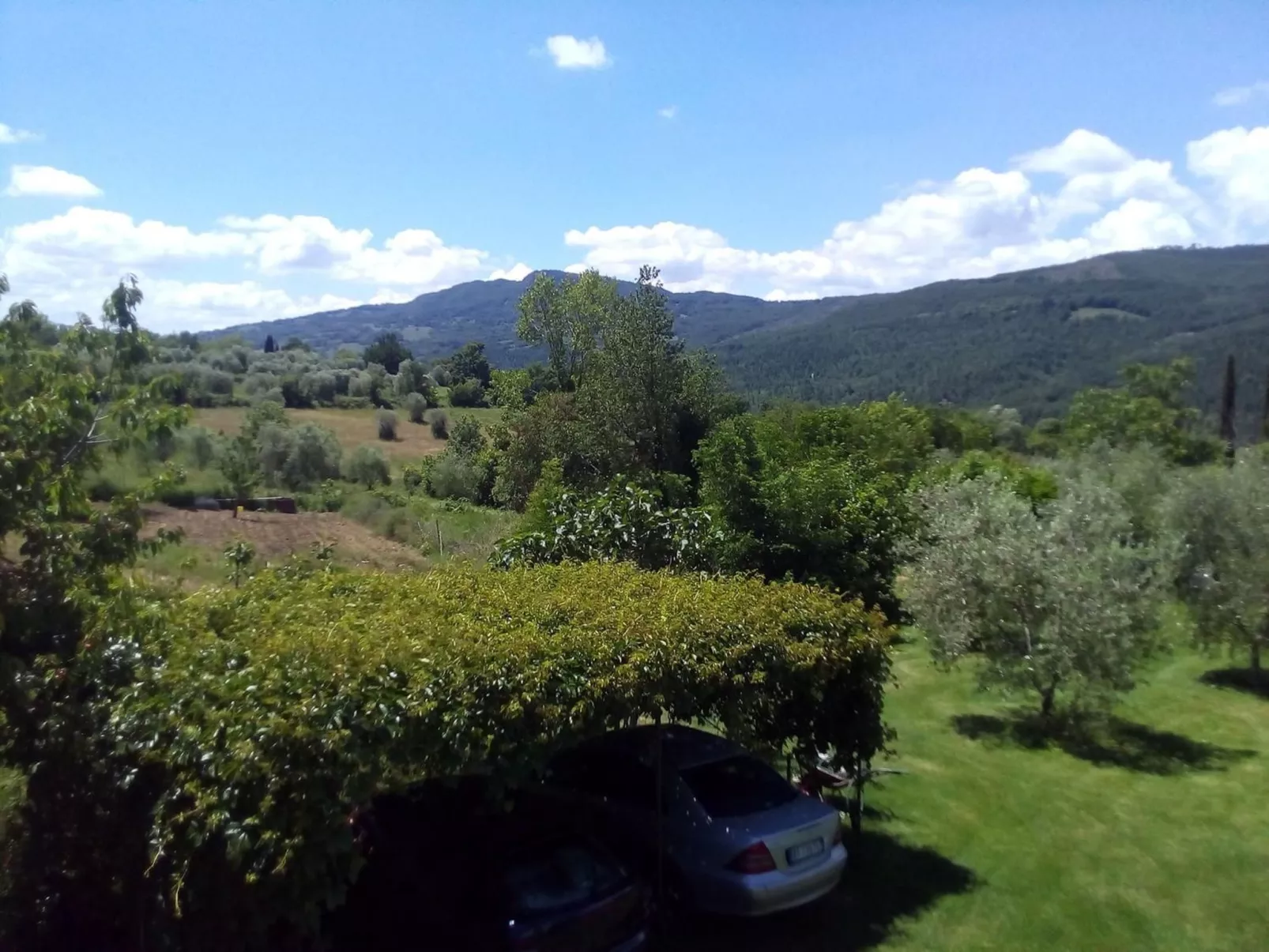 Capriolo' Wohnung Erdgeschoss-Image-tags.info