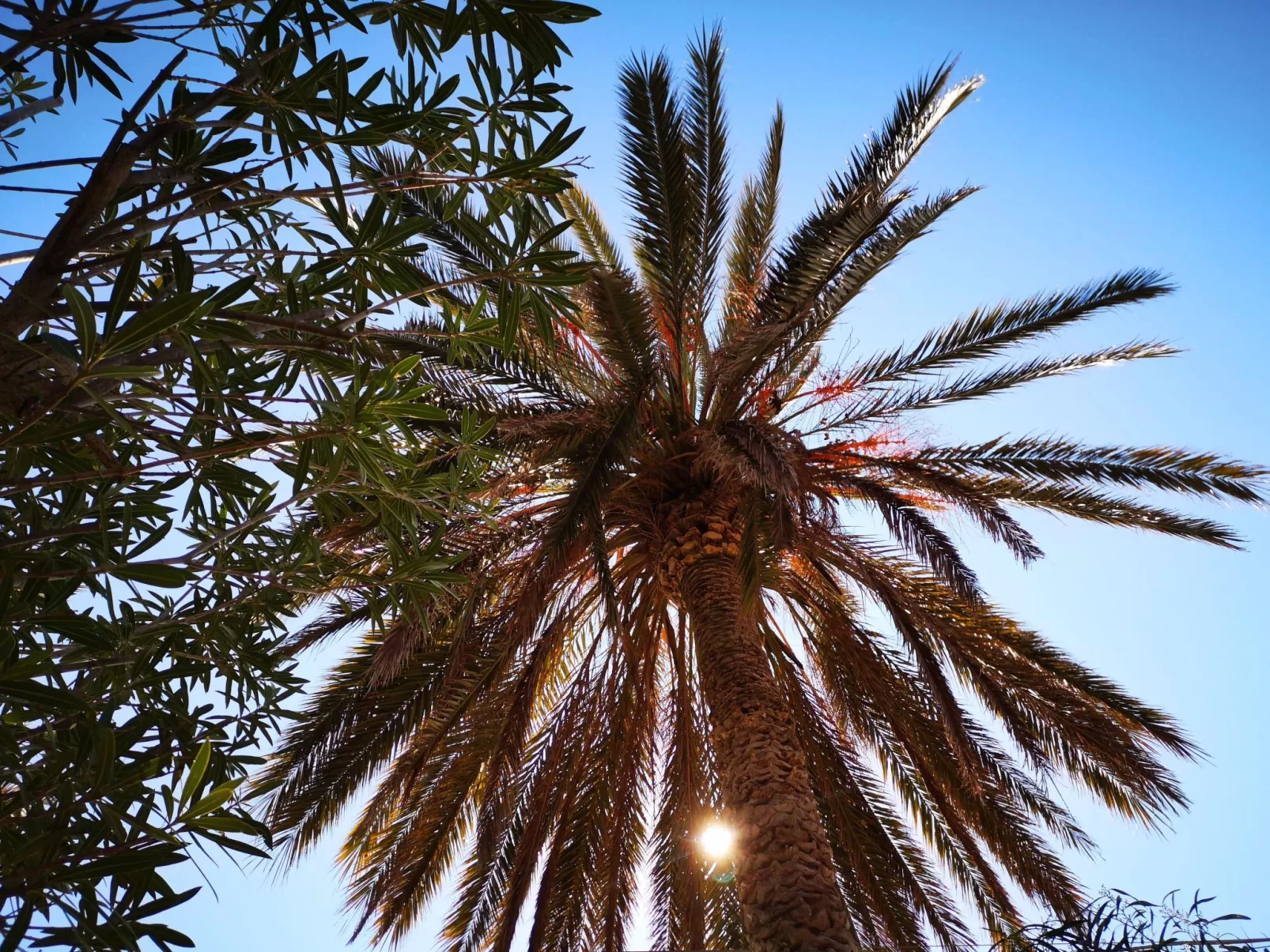 Schöner zentraler Bungalow direkt am Sandstrand auf Sizilien-Buiten