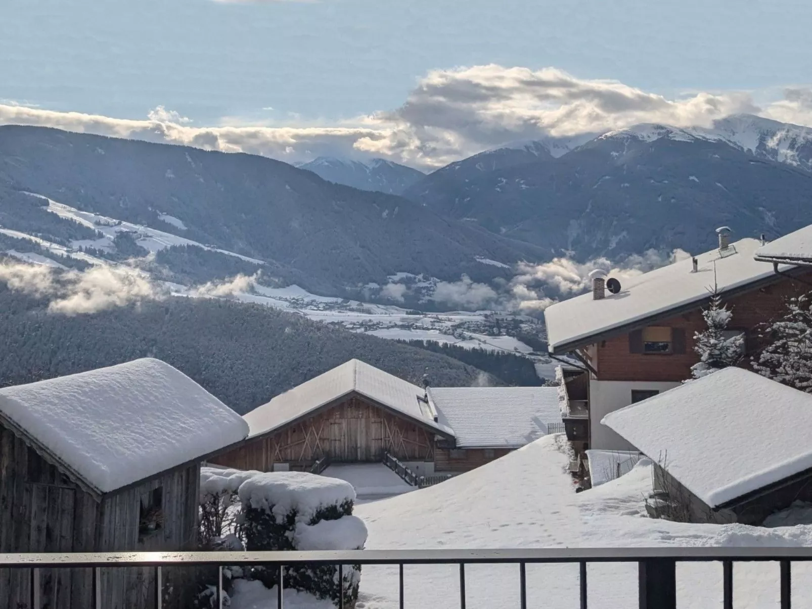 App. Haselstaude-Buiten