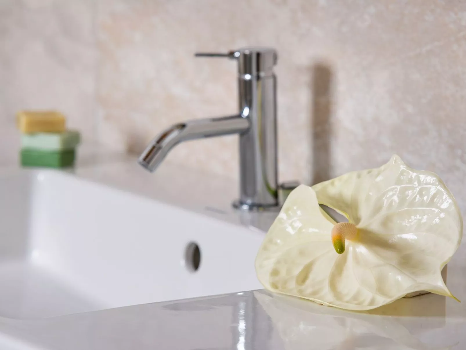 Villa Elettra Marcheholiday-Image-tags.info