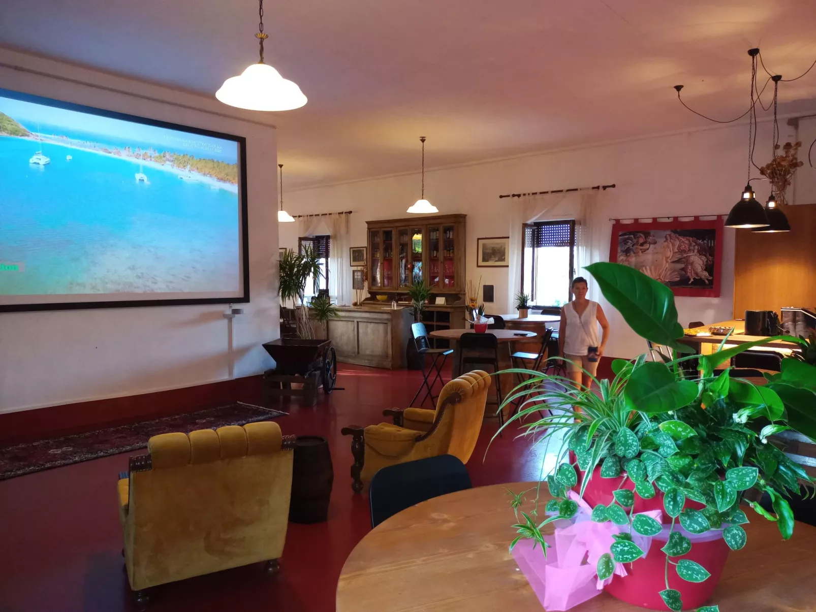 Flache Kornblume-Image-tags.info