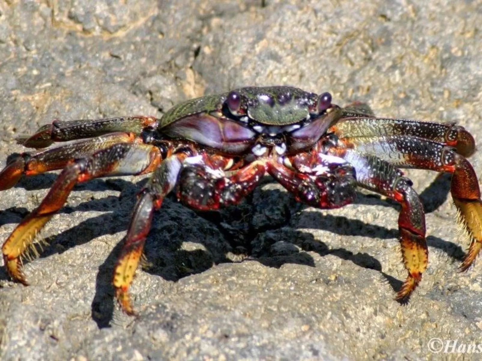 Luxusapartment-Image-tags.info