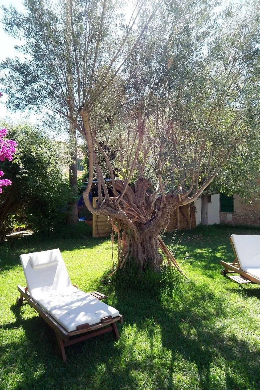 Garten Appartment-Image-tags.info