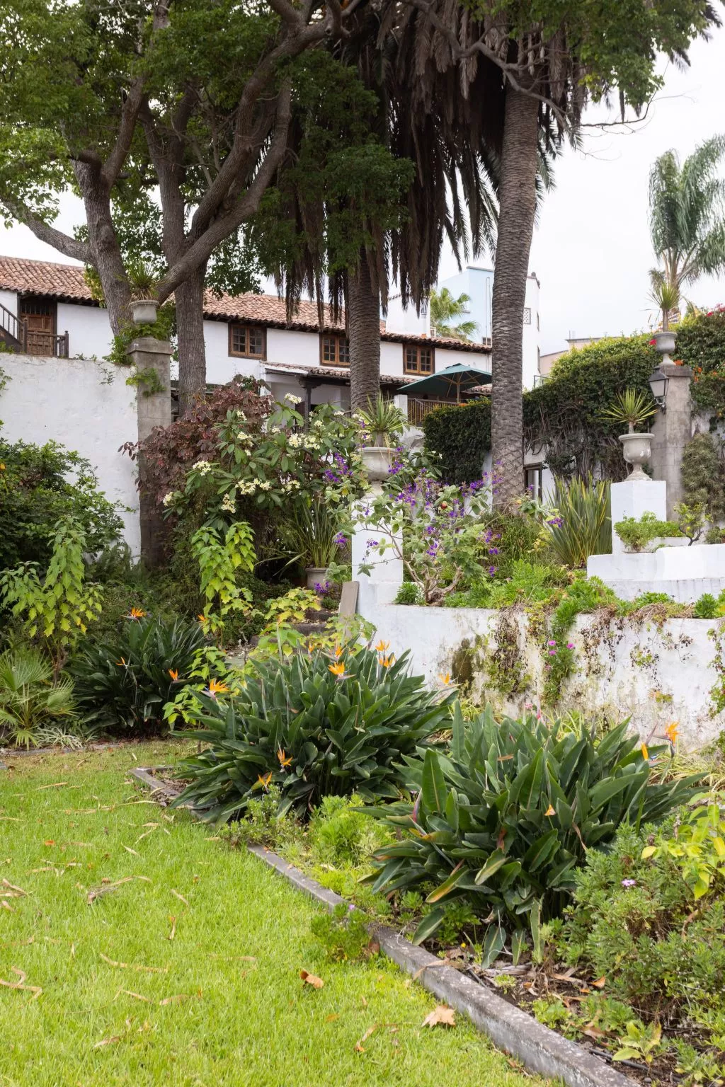 Wohnung Suite Zárate-Buiten