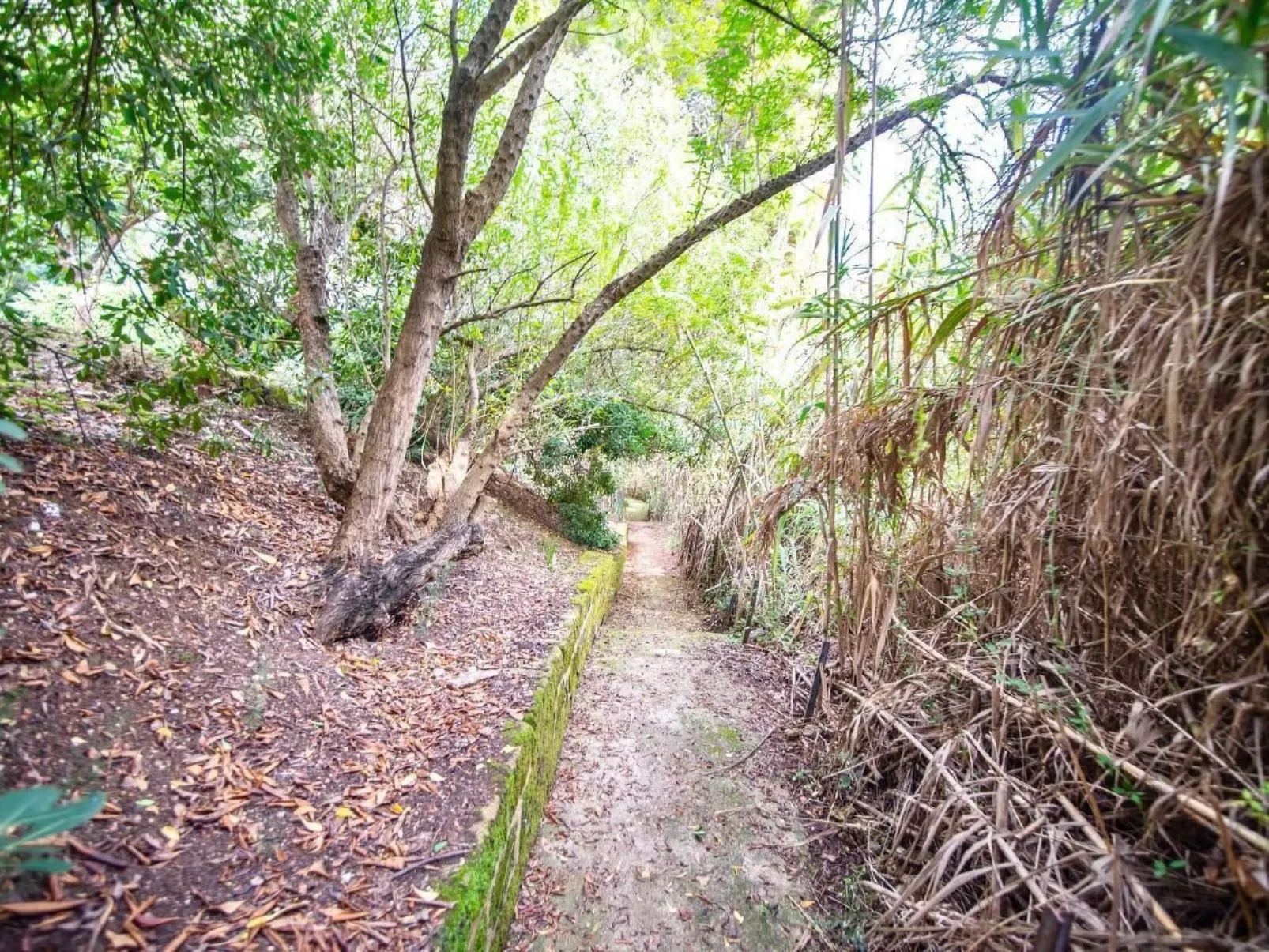 Ferienvilla "La Vela" mit Blick auf das Wasser-Image-tags.info
