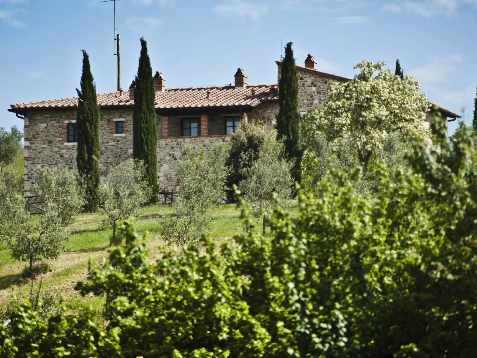 Wohnung "Tulip" mit Gemeinschaftspool-Buiten