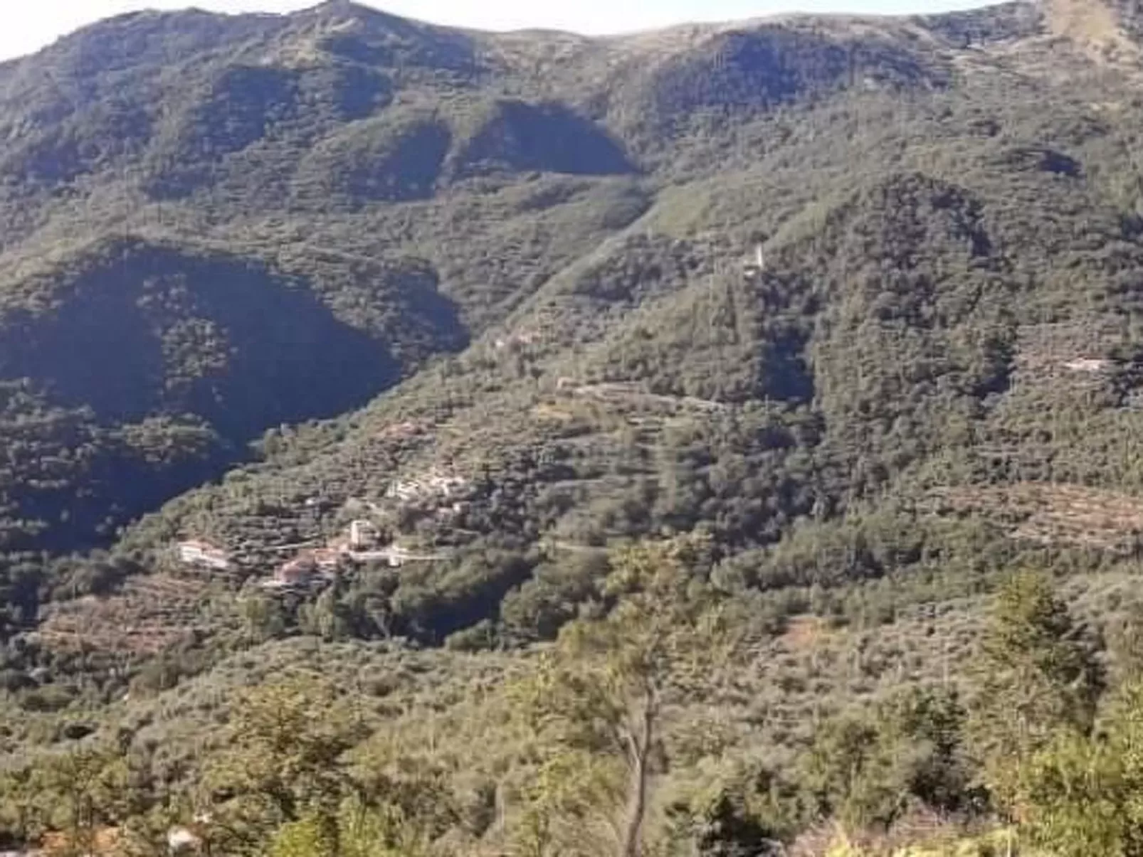 Schönes Ferienhaus mit Garten und Whirlpool-Buiten