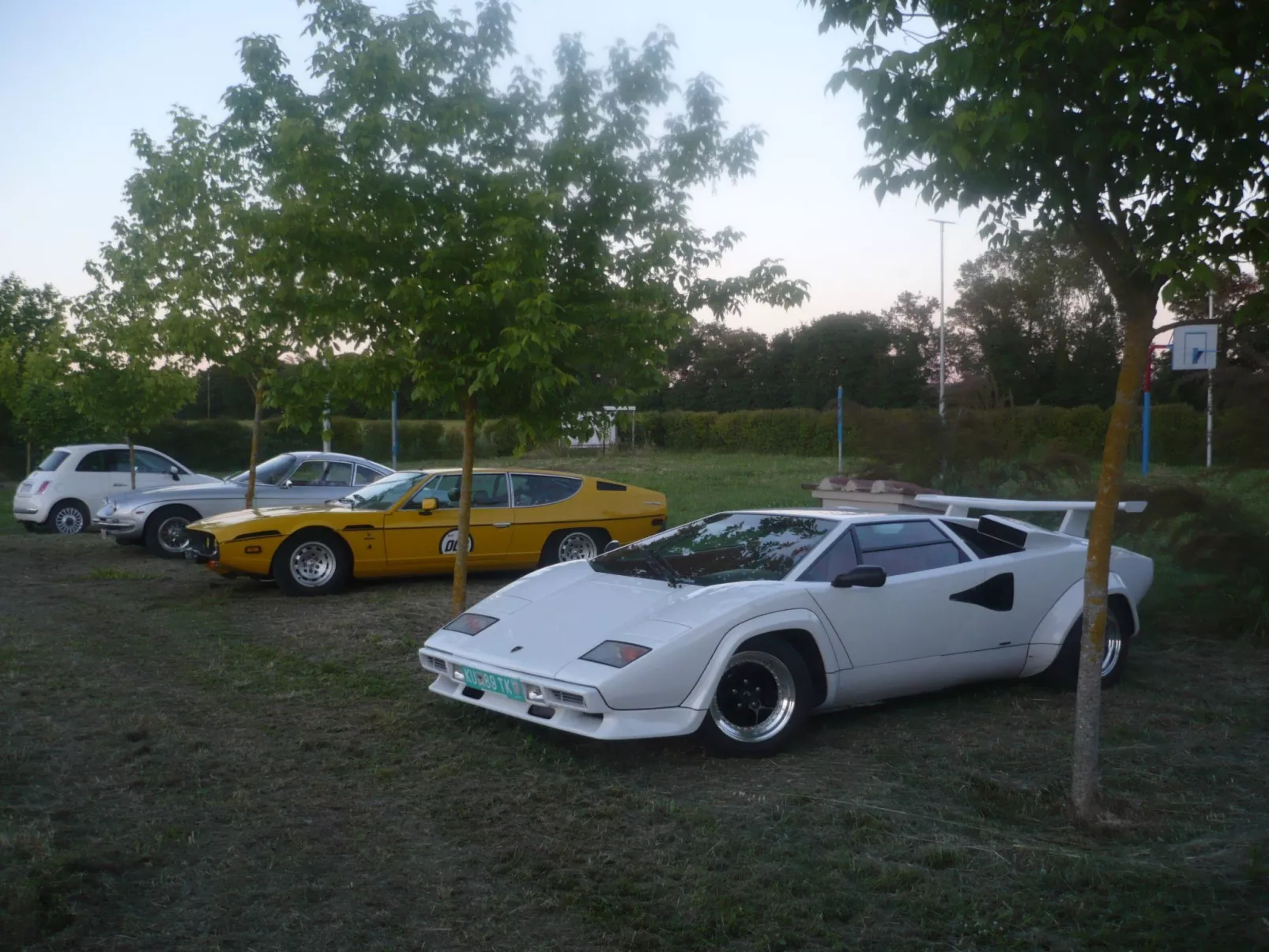 Haubentaucher-Buiten