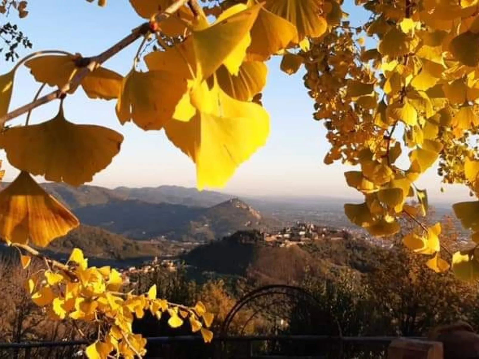 Mit Privatparkplatz - Image-tags.info