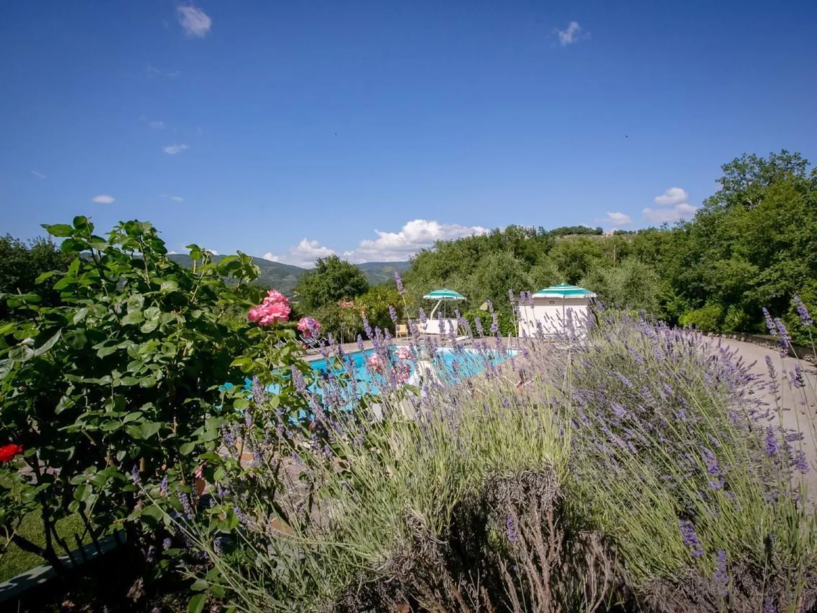 Schönes Appartement in Orzale mit Garten, Grill und Terrasse-Image-tags.info