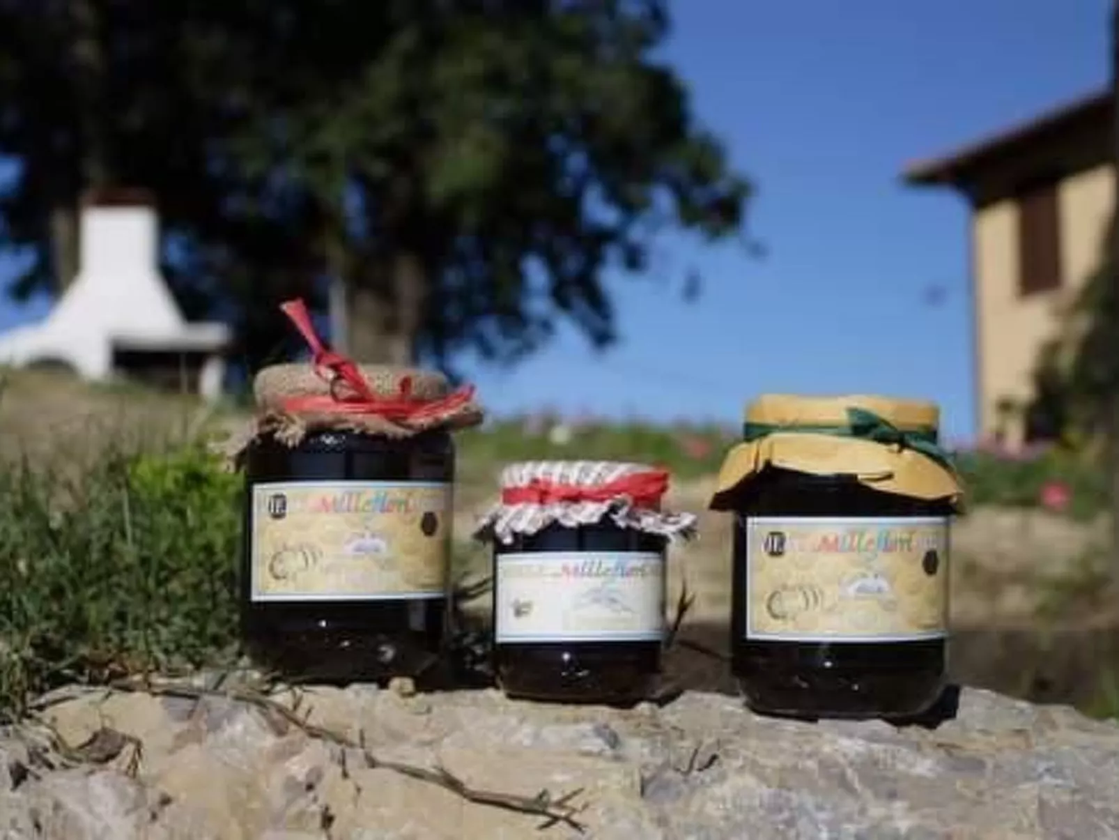 Panorama wohnung IL GIRASOLE-Image-tags.info