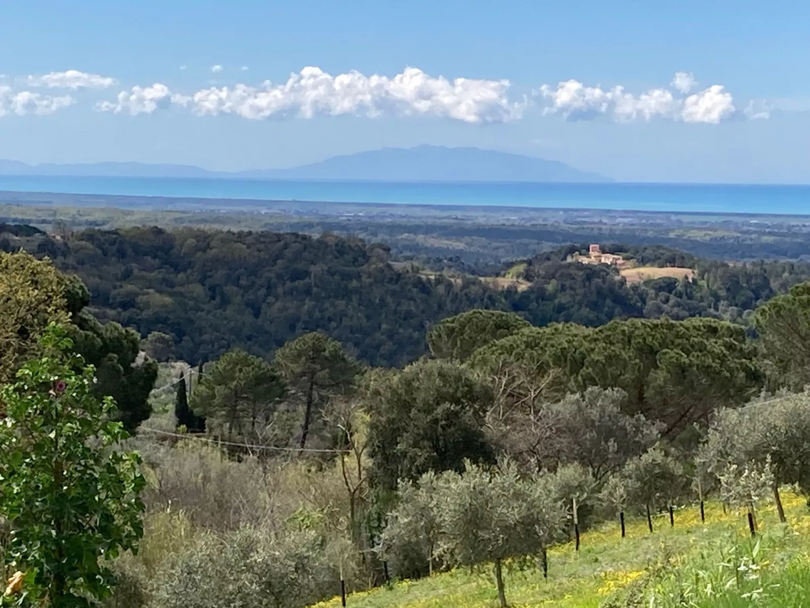 Podere Lo Zolfo-Buiten