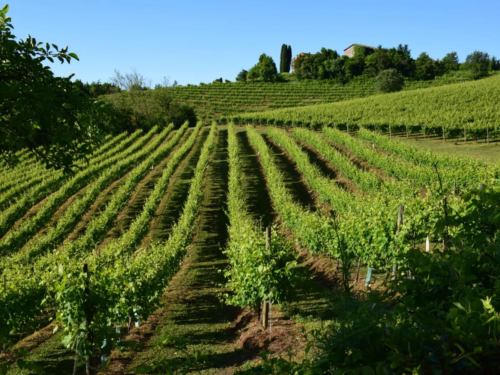 Anwesen mit Schwimmbad-Buiten