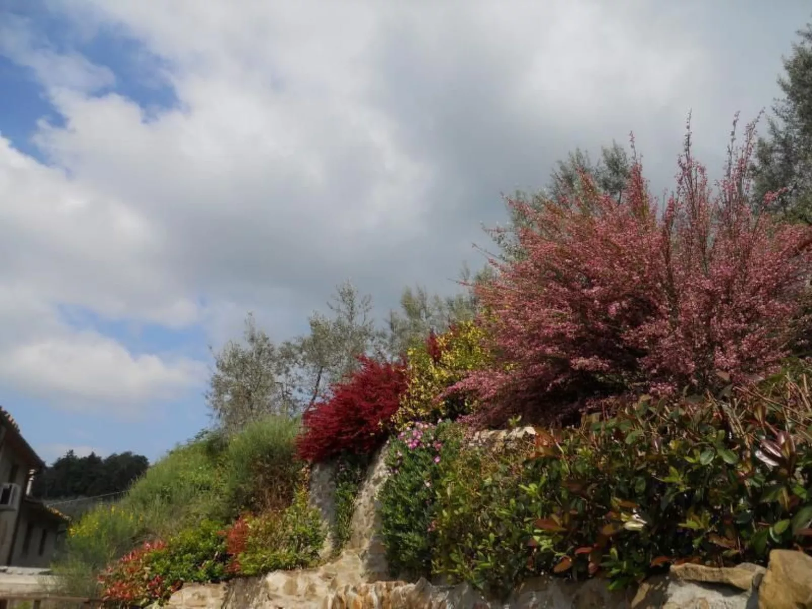 Bauernhaus Biancospino-Buiten