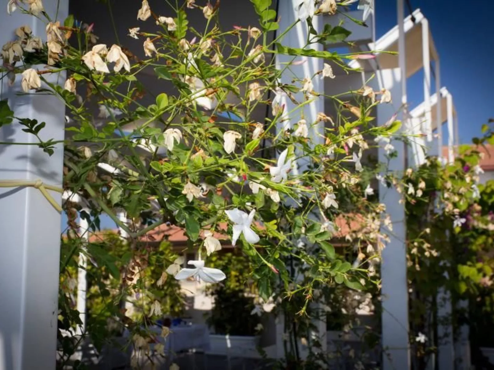 Gemütliche Wohnung für 4 Personen-Image-tags.info