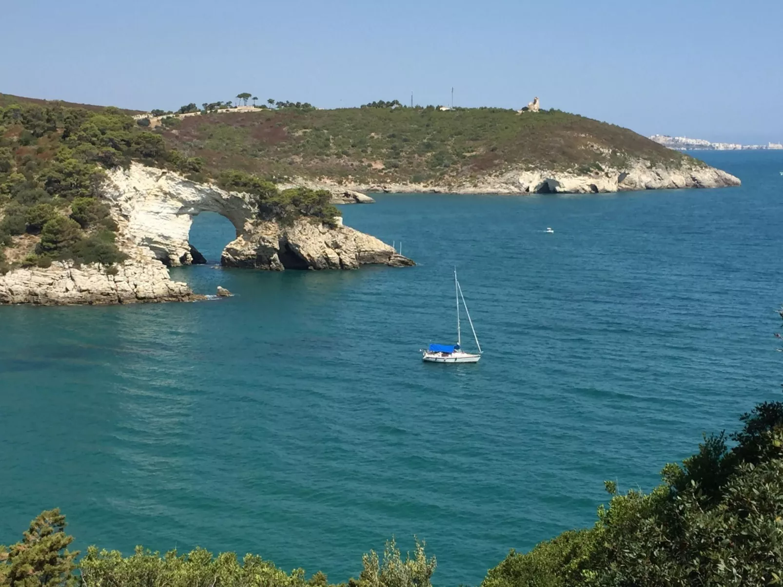 'Carla Gold' mit Wallbox-Image-tags.info