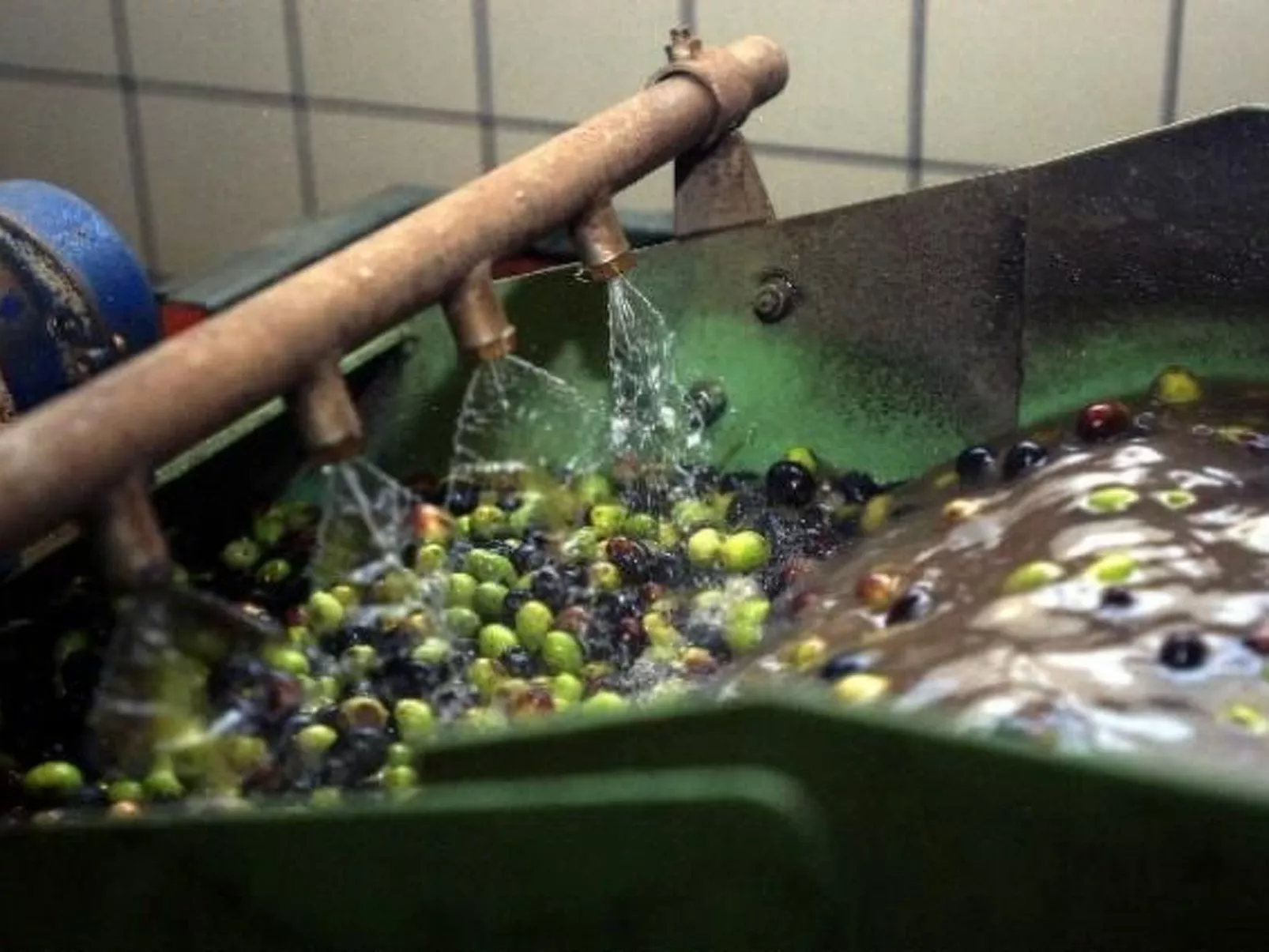 "San Rocco Suite mit Terrasse-Image-tags.info