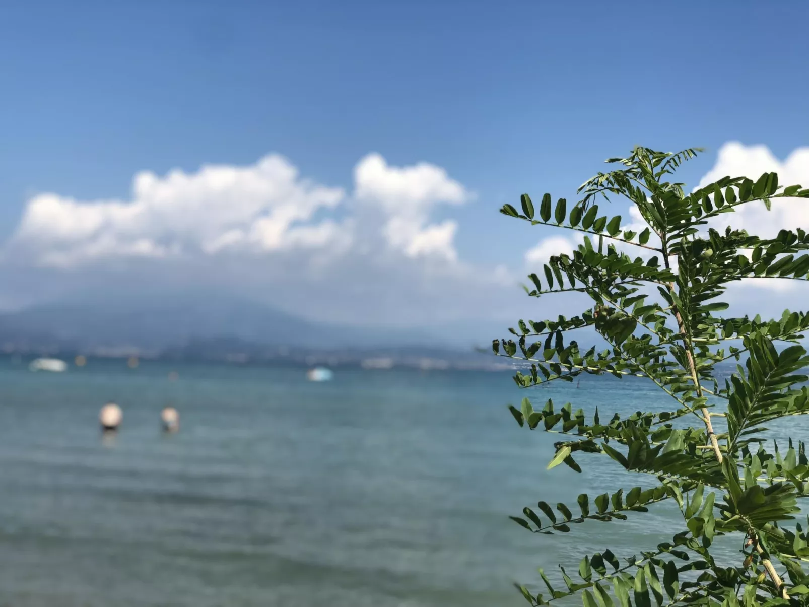 Schönes Studio-Apartment - Pool und Balkon-Buiten