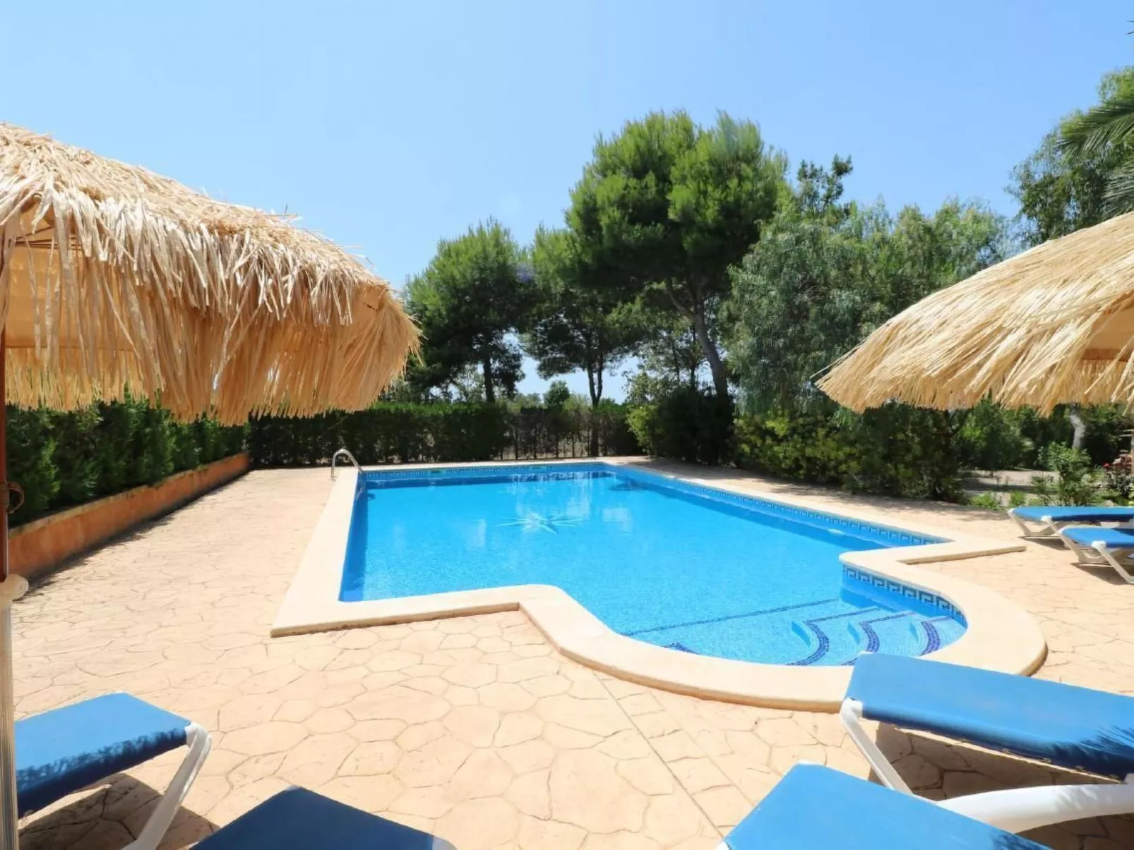 Fi. Camaron-Crestall-Image-tags.info