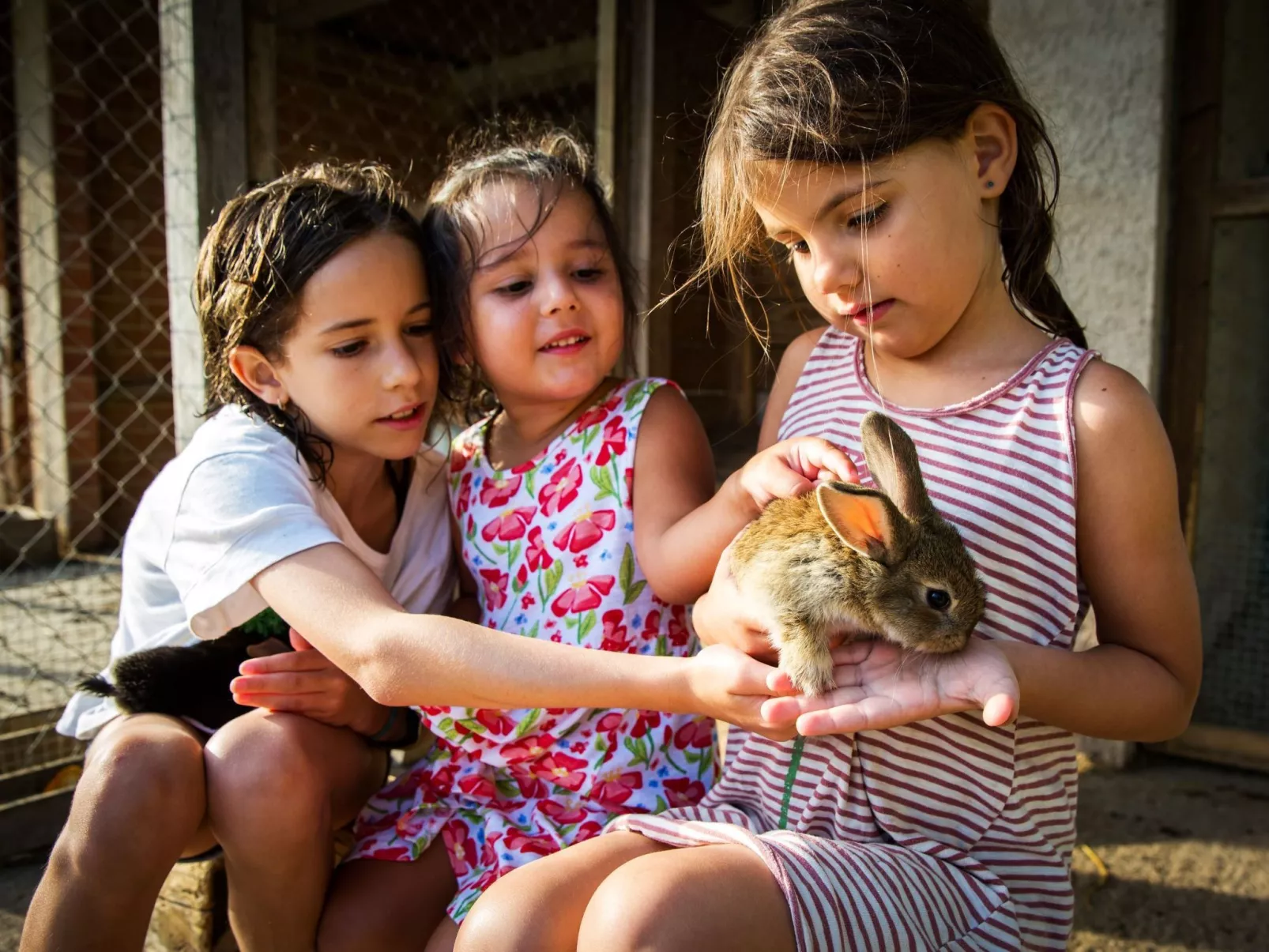 Wohnung "El Corral" mit Terrasse-Image-tags.info