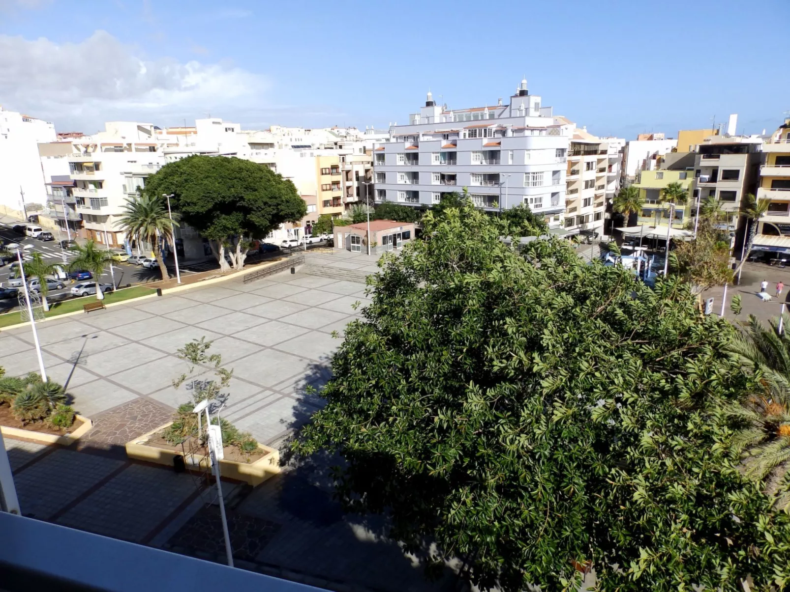 "Cañaveral Medano".-Buiten