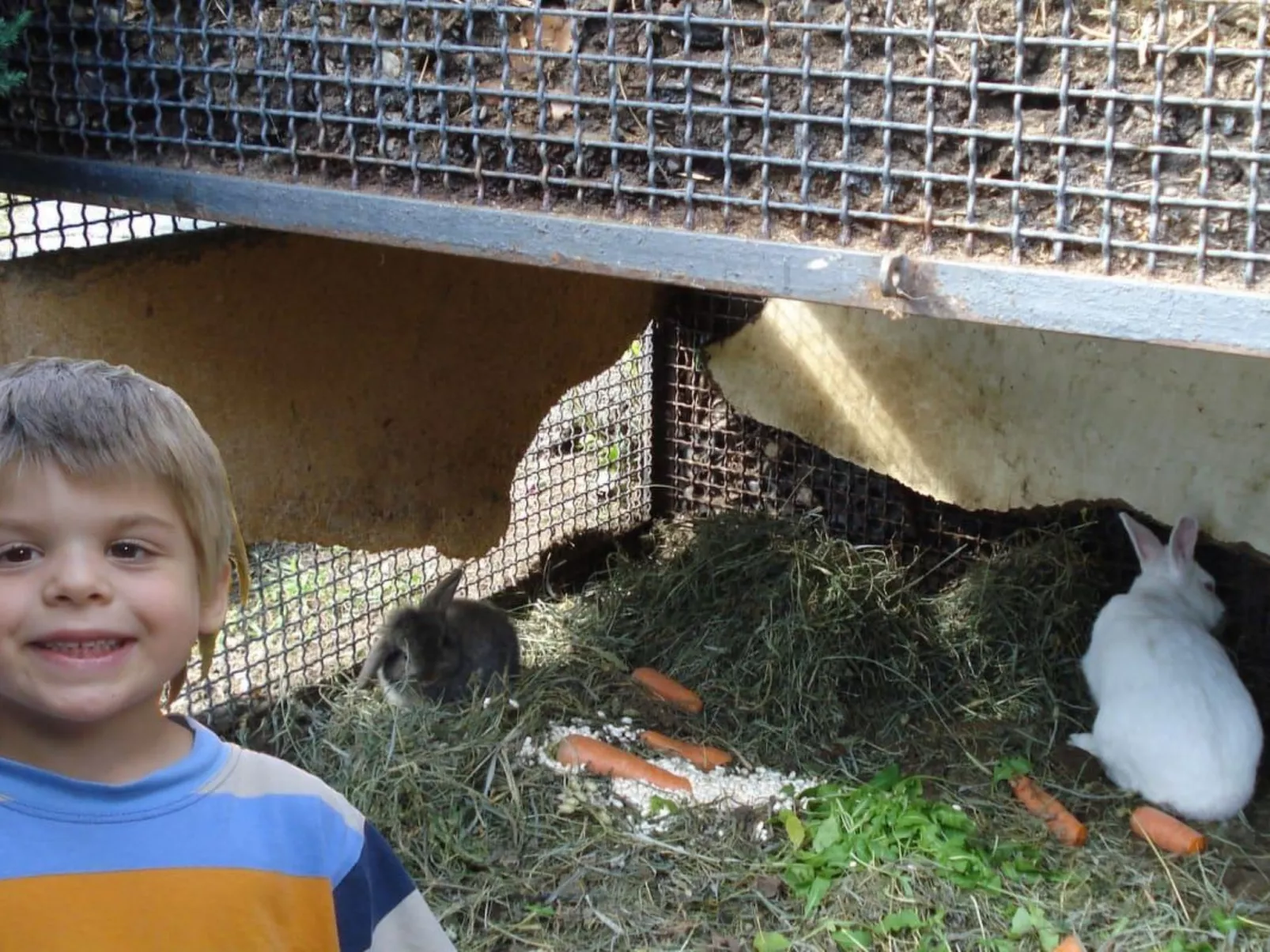 Amarone-Image-tags.info