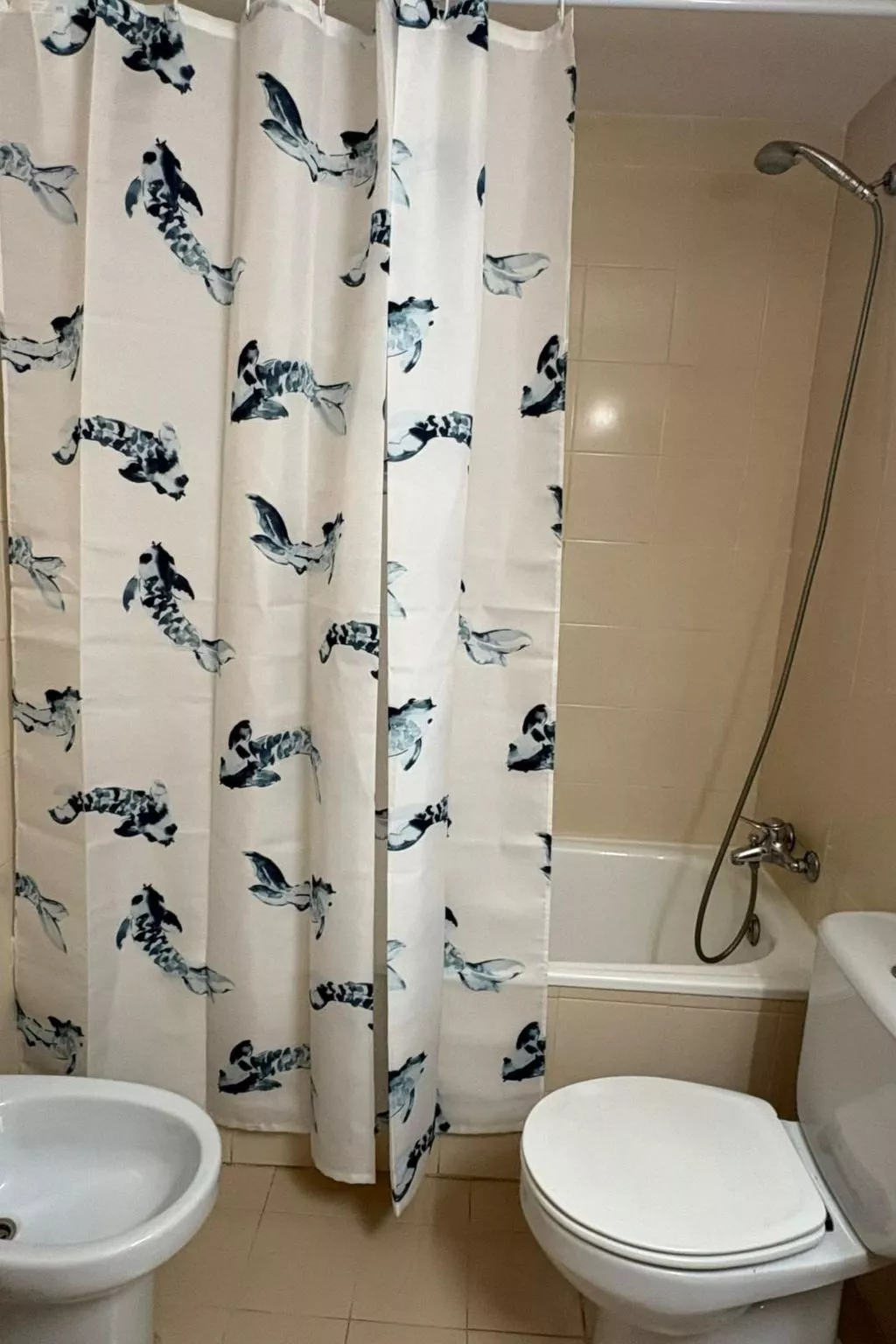 Wohnung mit Balkon Falcó 14 Vall de Boí - Binnen