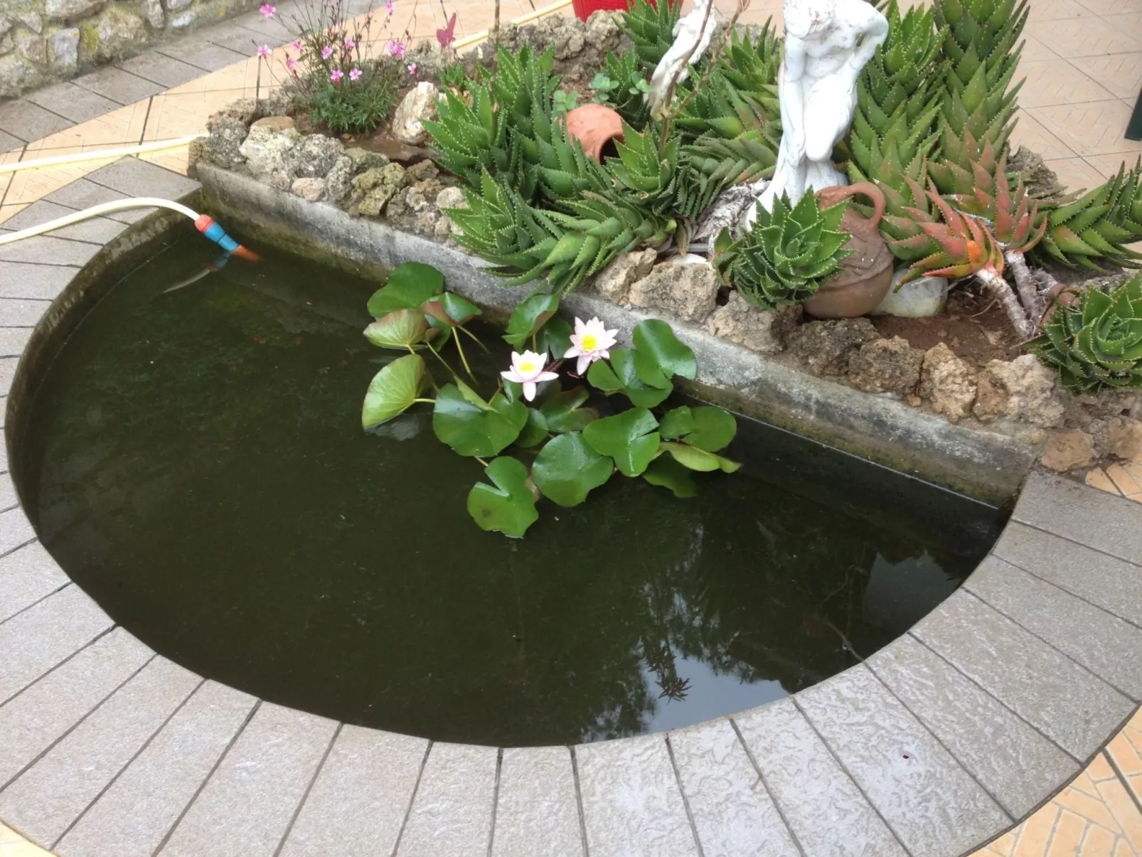 Wunderschönes Appartement in Capoliveri mit Terrasse, Garten und Grill-Buiten