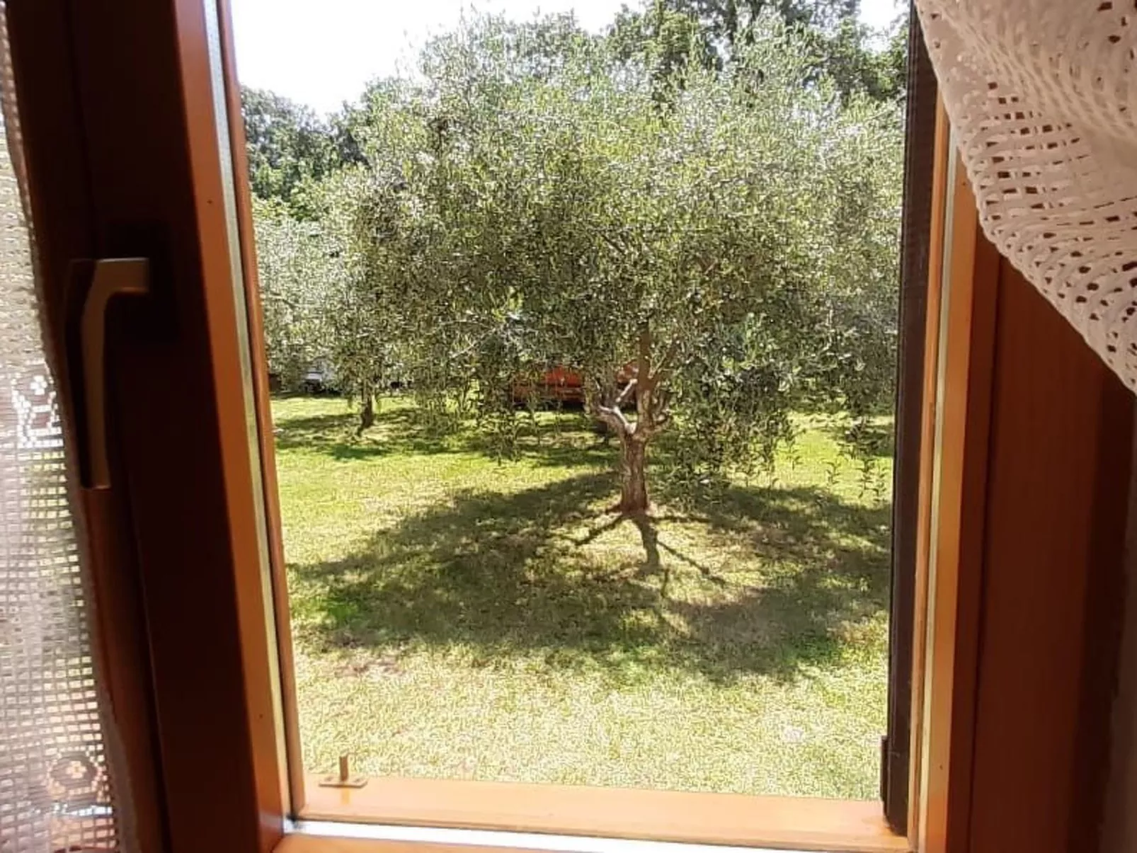 Mit schönem Garten und Sonnenterrasse-Image-tags.info