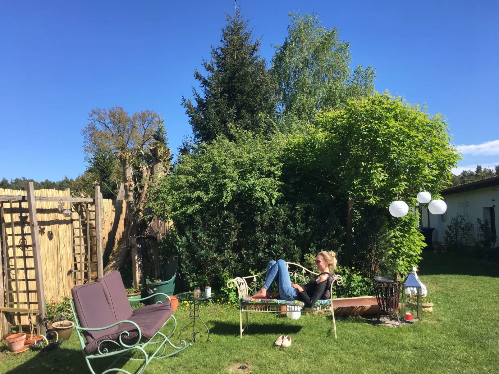 Löwenzahn-Image-tags.info